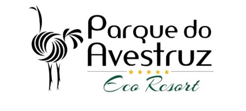 Cliente 4